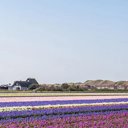 19 - Aan De Duinen, Aan Zee Apartment