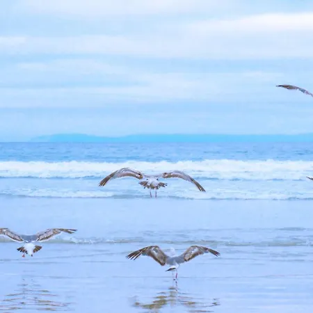 19 - Aan De Duinen, Aan Zee Appartement *