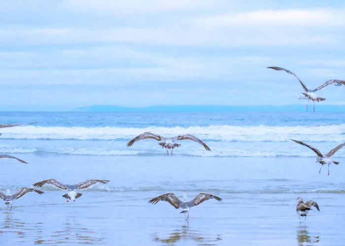 19 - Aan De Duinen, Aan Zee Appartement *